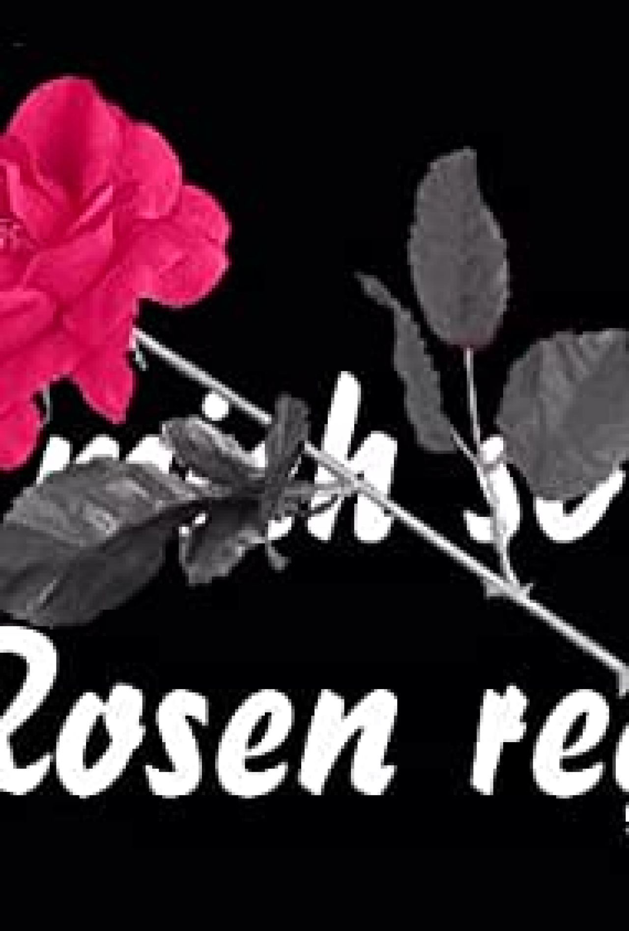 Für Mich Soll's Rote Rosen Regnen Remix Für mich soll's rote Rosen regnen (1995) - naEKRANIE.pl